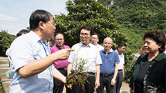 吉林省財(cái)政廳、工信廳領(lǐng)導(dǎo)聯(lián)合調(diào)研中科吉林科技產(chǎn)業(yè)創(chuàng)新平臺